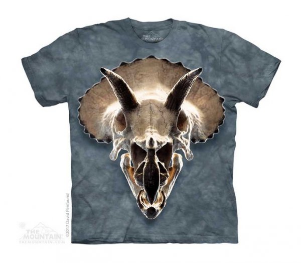 Tričko 3D potisk - Triceratops Skull, lebka - The Mountain / děti