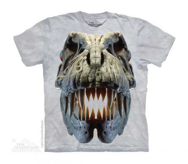 Tričko 3D potisk - Silver Rex Skull, dinosaurus, lebka - The Mountain / děti